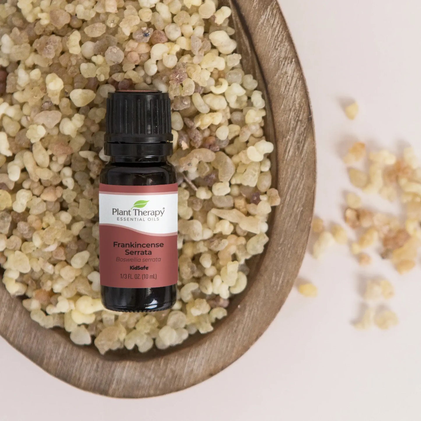 Frankincense Serrata Essential Oil 10 mL