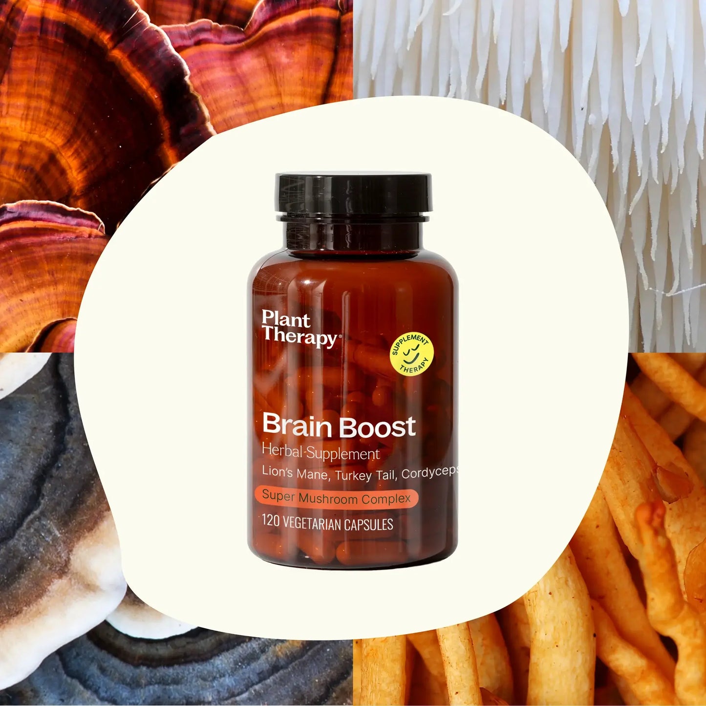 Brain Boost Herbal Supplement Capsules 120 Capsules