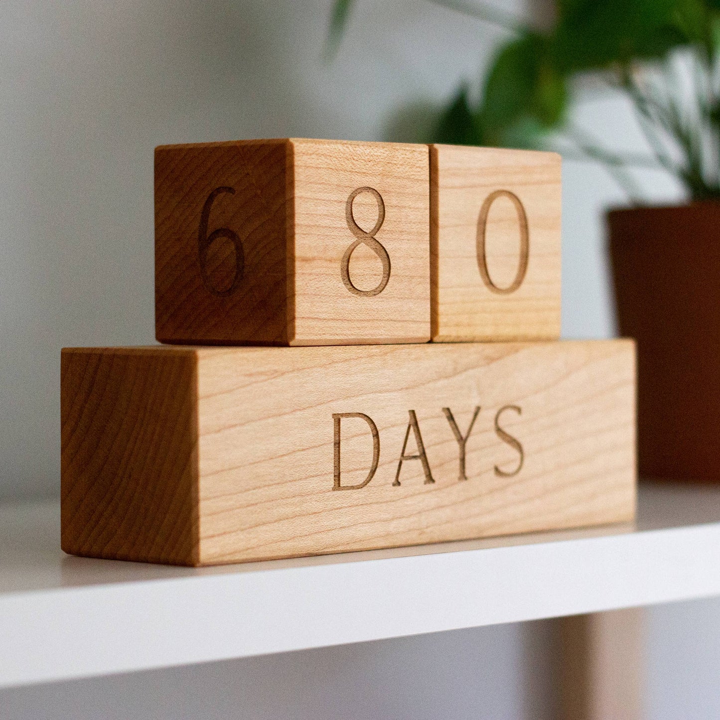 Wooden Milestone Blocks • Modern Maple Heirloom Block Set
