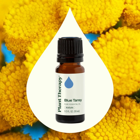 Blue Tansy Essential Oil 10 mL