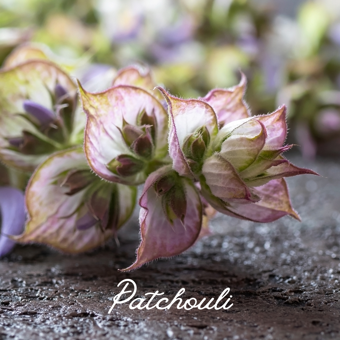 CITRUS PATCHOULI BODY BUTTER