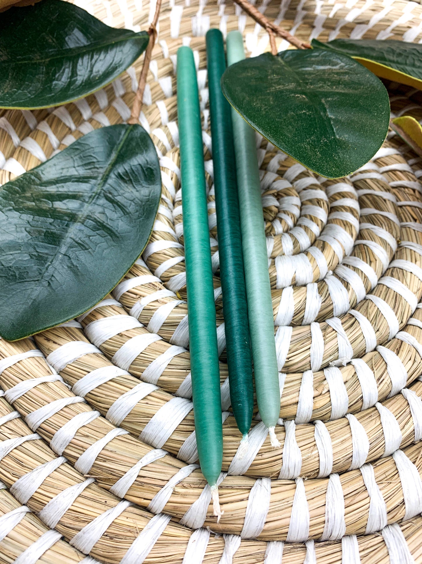 Skinny Tapered Candles - Plantae: 10"