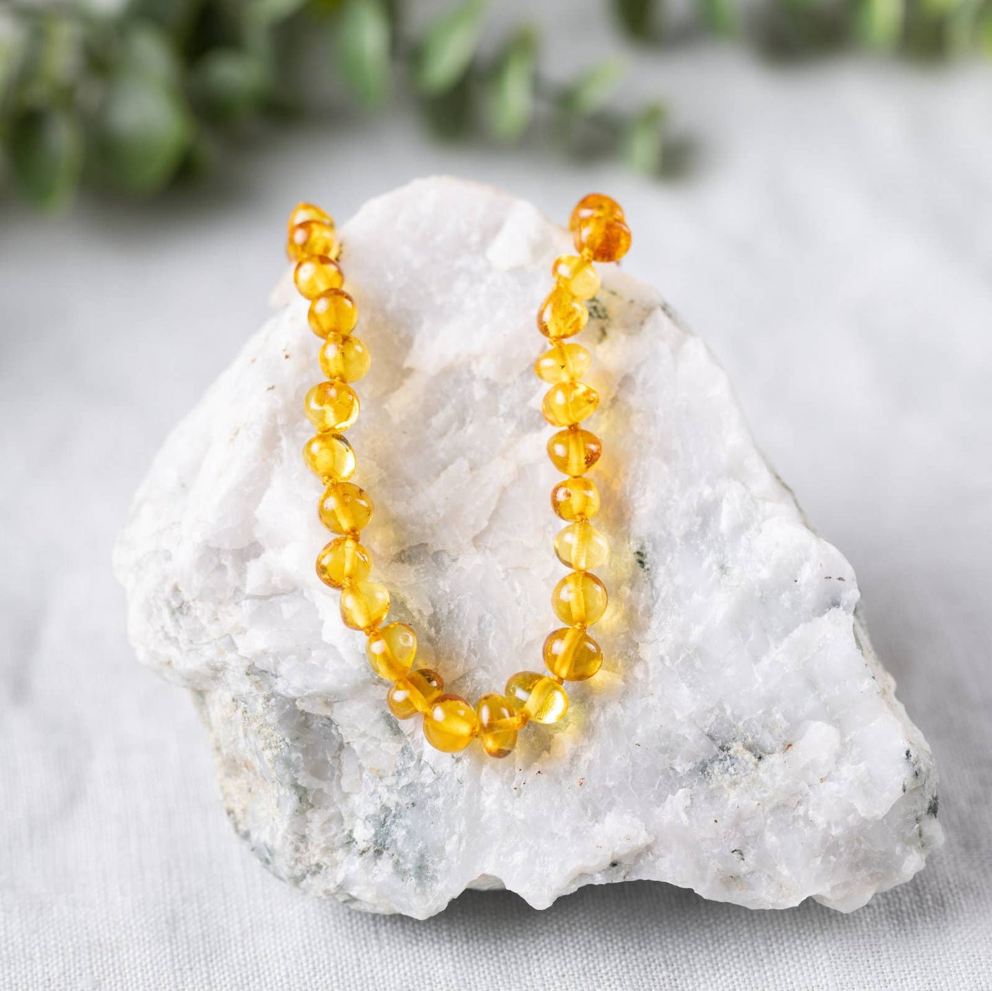 Baltic Amber Necklaces: Butter / 10-11"