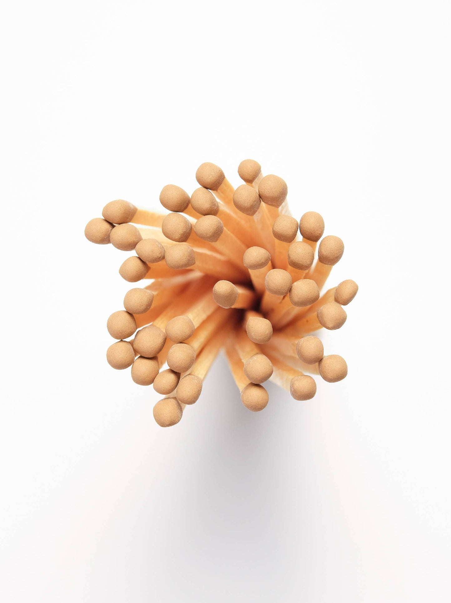 Refills of Wooden Safety Matches & Refill: CAMEL