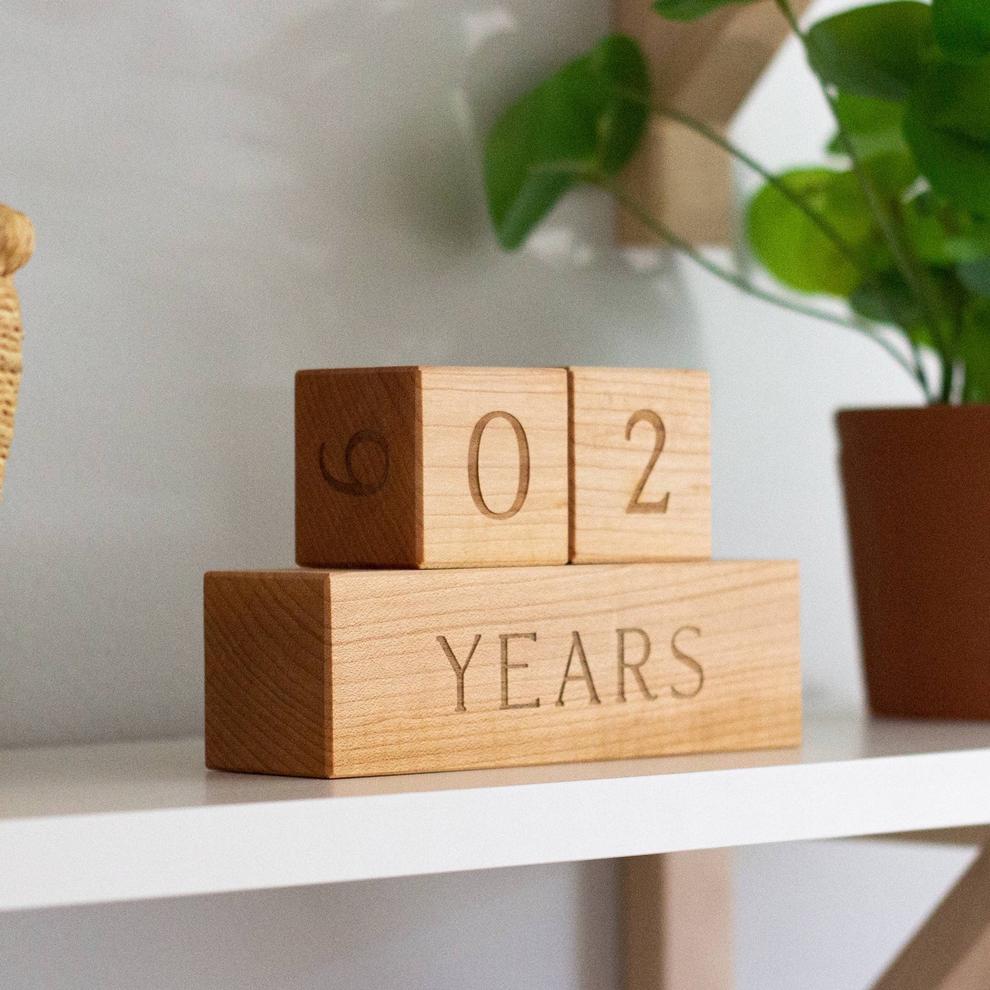 Wooden Milestone Blocks • Modern Maple Heirloom Block Set