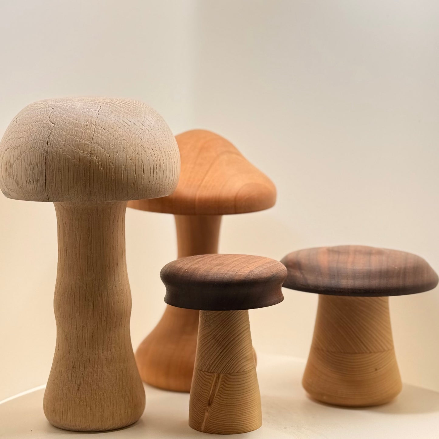 Locally Made Wooden Mushrooms
