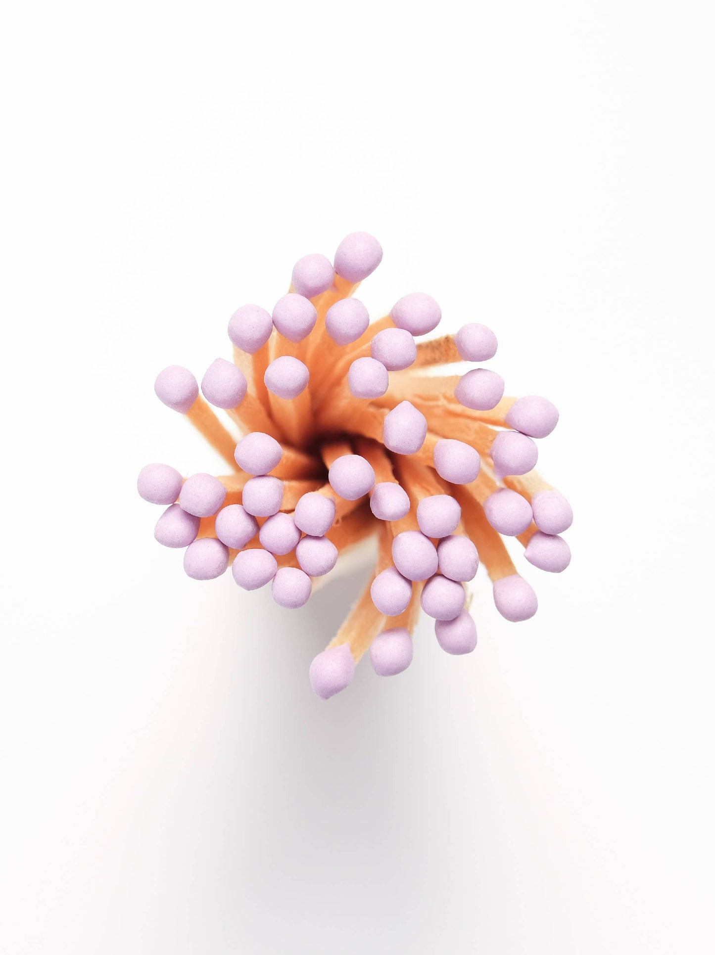 Refills of Wooden Safety Matches & Refill: WHITE