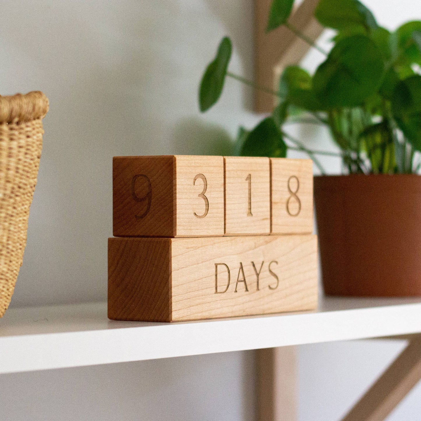 Wooden Milestone Blocks • Modern Maple Heirloom Block Set