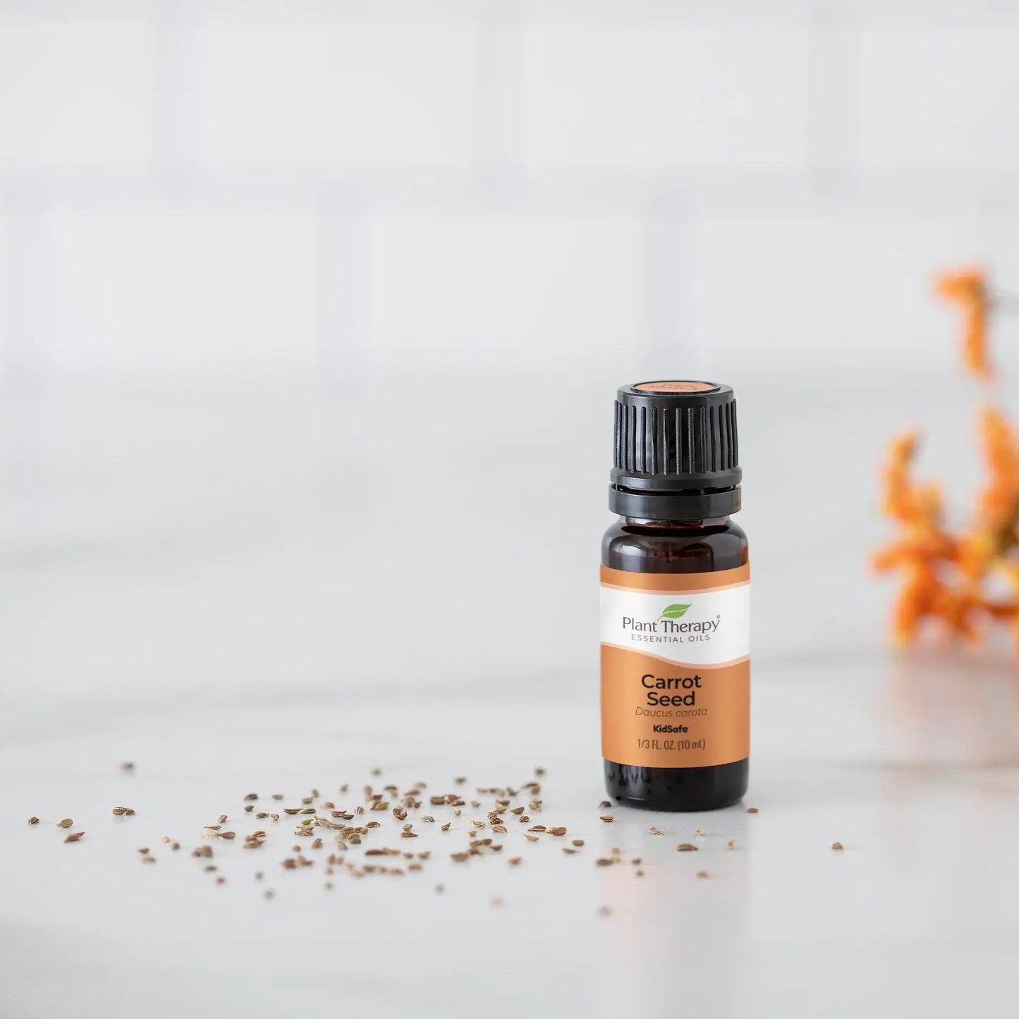 Carrot Seed Essential Oil 10 mL