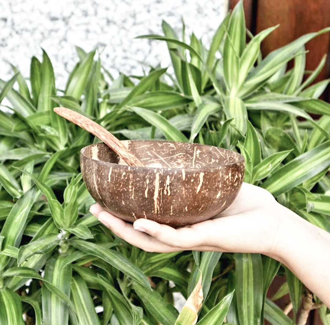 Coconut Bowl and Spoon Set of 4