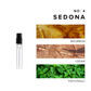 Luxury Perfume Discovery Set