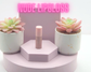 Fun Size 3.5 ML Mini Lip Gloss: Strawberry Vanilla / Soft Pink