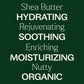 Organic Shea Butter 16 oz Jar