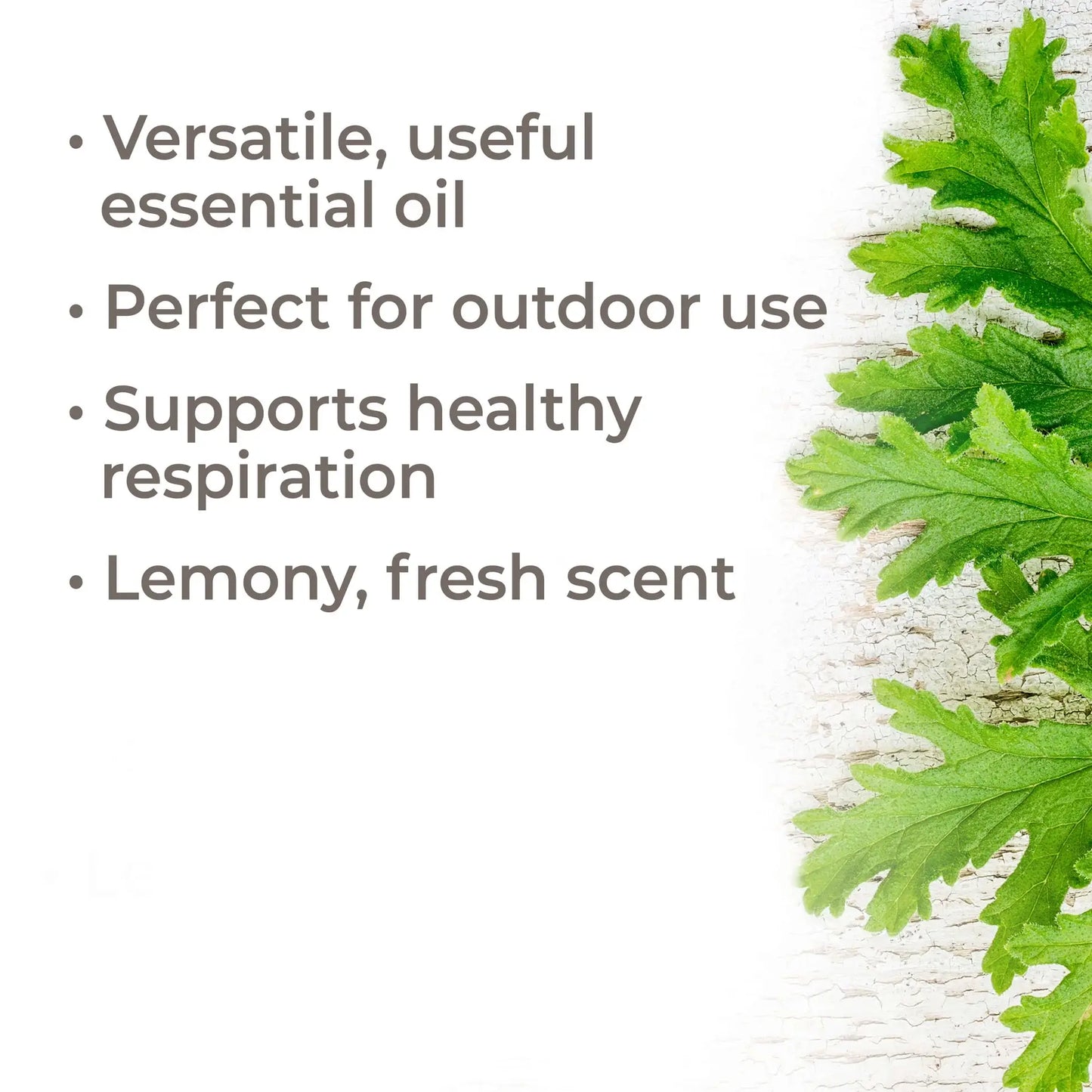 Organic Citronella Essential Oil 10 mL