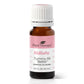 Tummy All Better KidSafe Essential Oil 10 mL