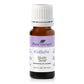 Study Time KidSafe Essential Oil 10 mL