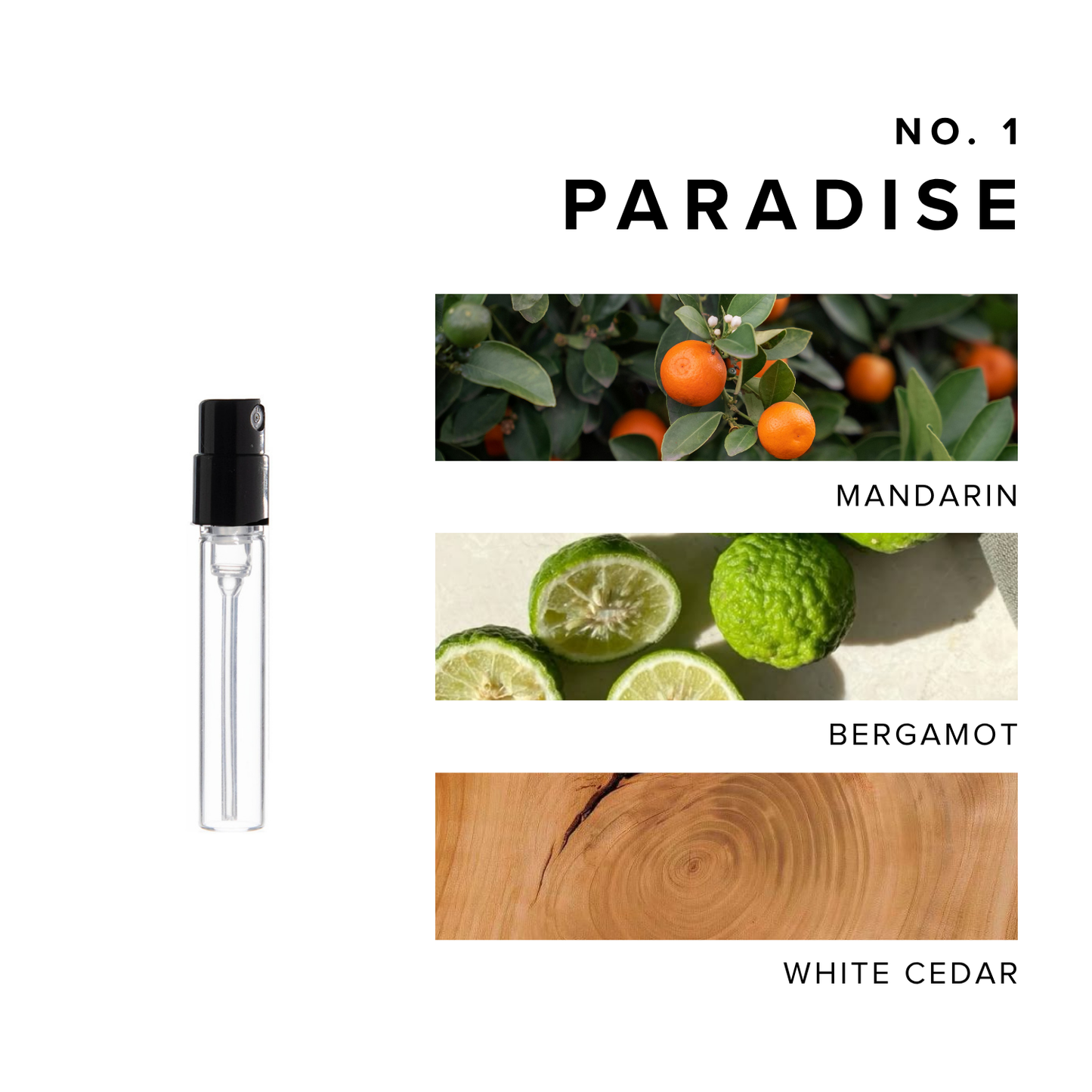 Luxury Perfume Discovery Set