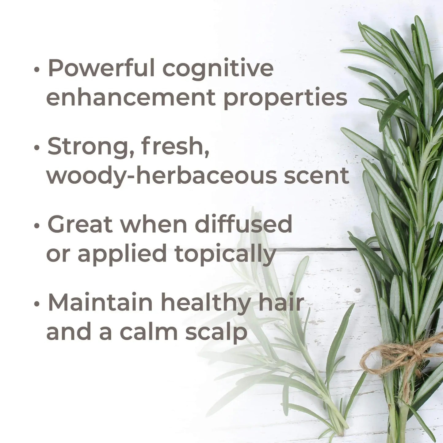 Rosemary 1,8-Cineole Essential Oil 10 mL