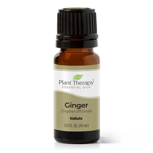 Ginger Essential Oil 10 mL