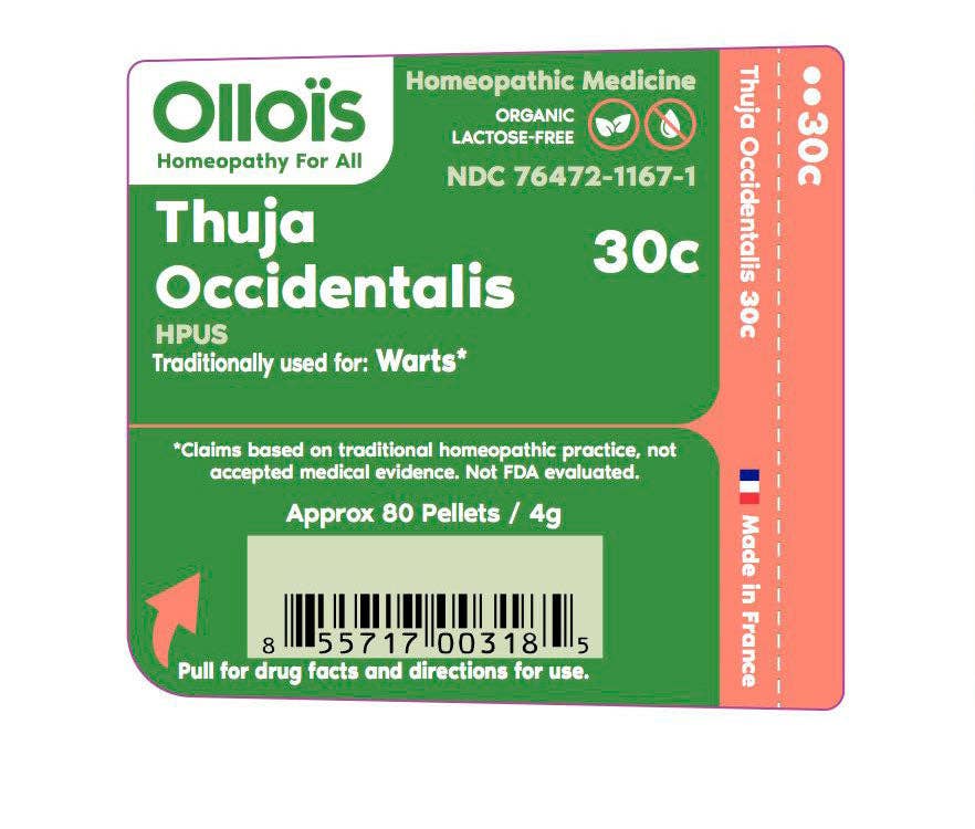 Olloïs Thuja Occidentalis 30C Vegan Organic, 80 Pellets