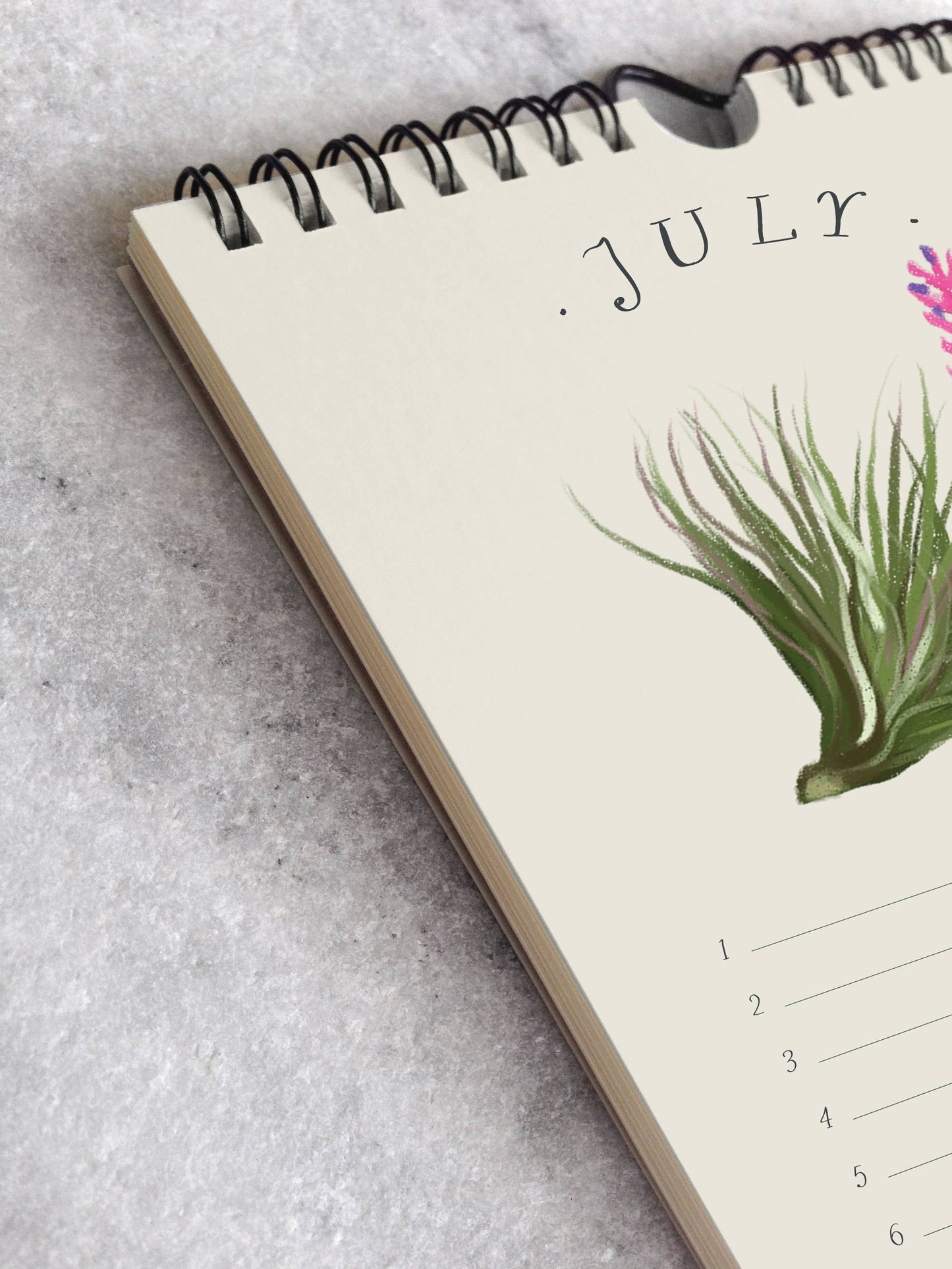 Tillandsia Celebration Calendar | Perpetual Calendar