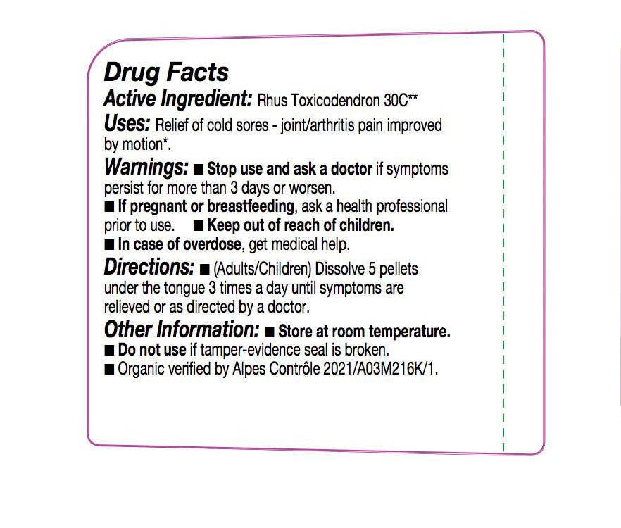 Olloïs Rhus Toxicodendron 30C Vegan Organic, 80 Pellets