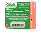 Olloïs Rhus Toxicodendron 30C Vegan Organic, 80 Pellets