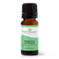 Rosemary 1,8-Cineole Essential Oil 10 mL