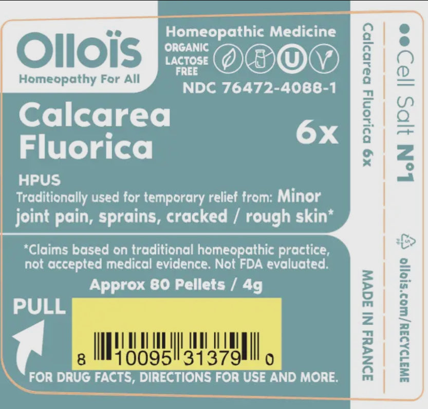 Olloïs Cell Salt #1 Calcarea Fluorica
6x - Organic & Vegan