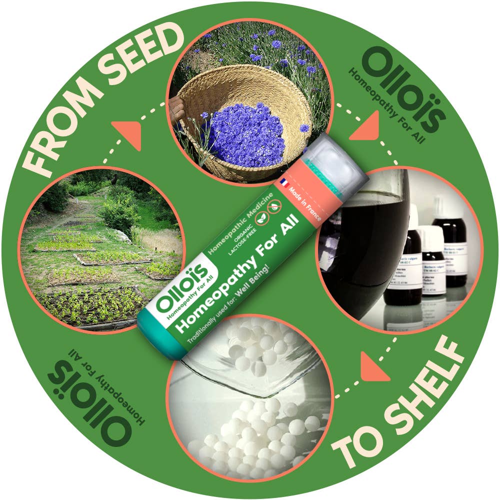 Olloïs Rhus Toxicodendron 30C Vegan Organic, 80 Pellets