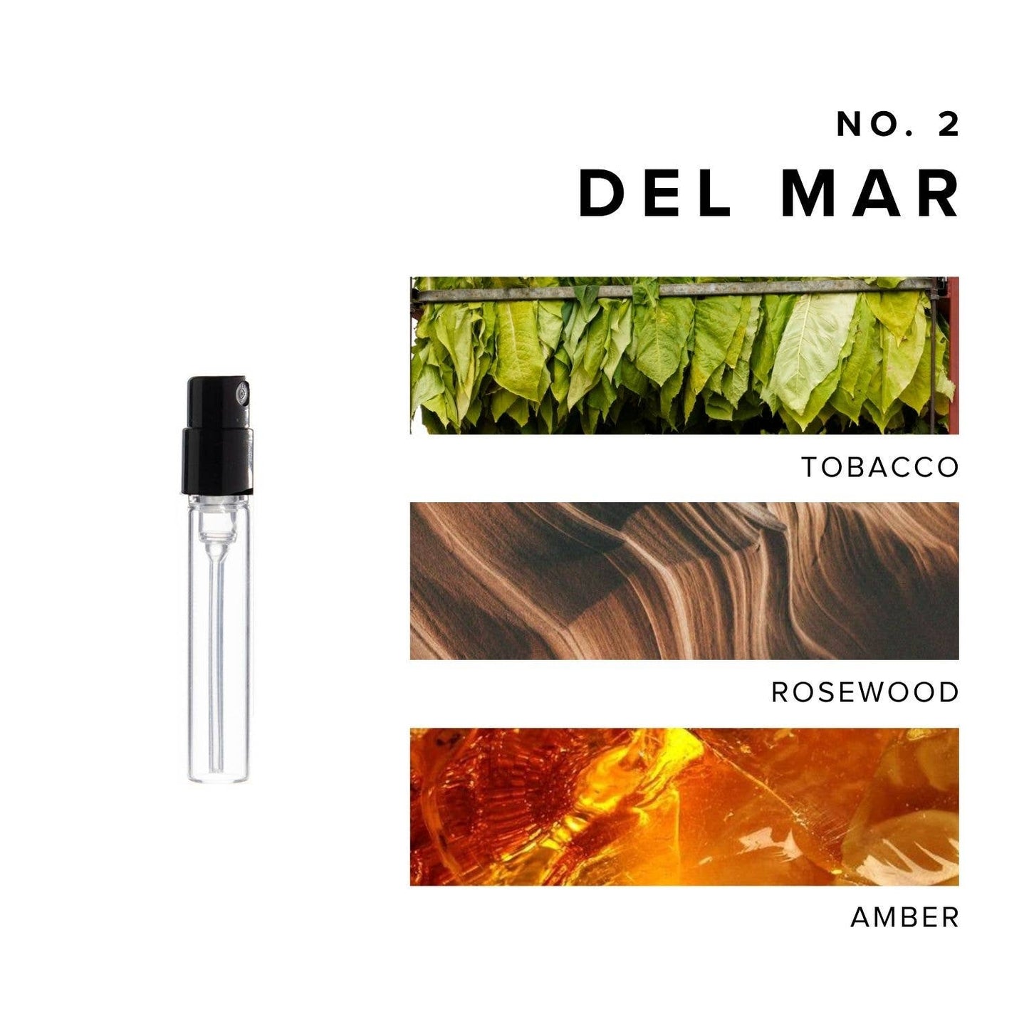 Luxury Perfume Discovery Set
