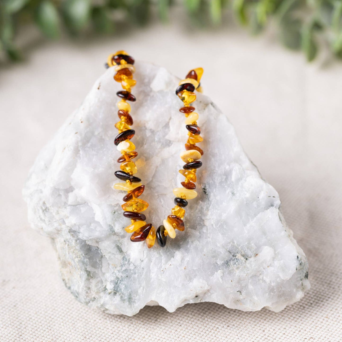 Baltic Amber Necklaces: Butter / 10-11"