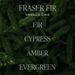 Fraser Fir Hanging Air Freshener - Christmas Decor