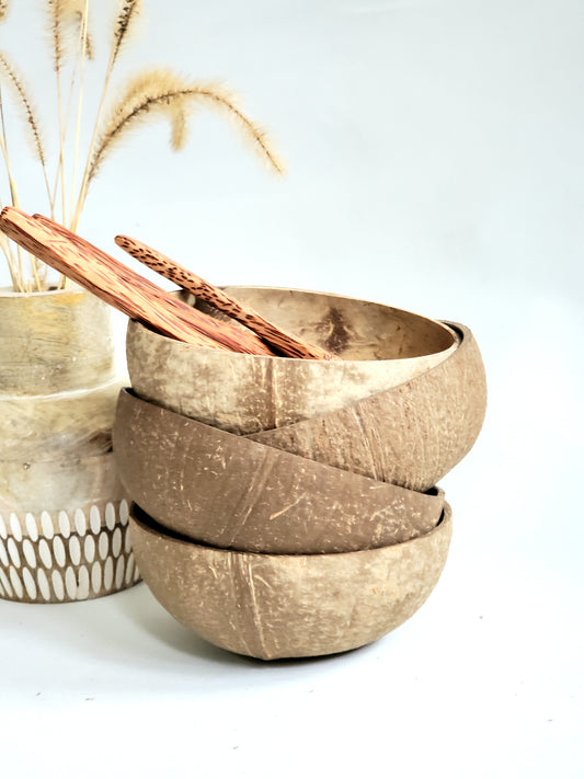 Coconut Bowl and Spoon Set of 4
