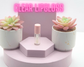 Fun Size 3.5 ML Mini Lip Gloss | Gift for Her | Beauty Gift: Vanilla / Soft Pink