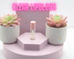 Fun Size 3.5 ML Mini Lip Gloss | Gift for Her | Beauty Gift: Vanilla Brown Sugar / Clear