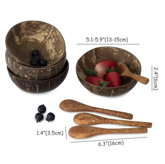Coconut Bowl and Spoon Set of 4